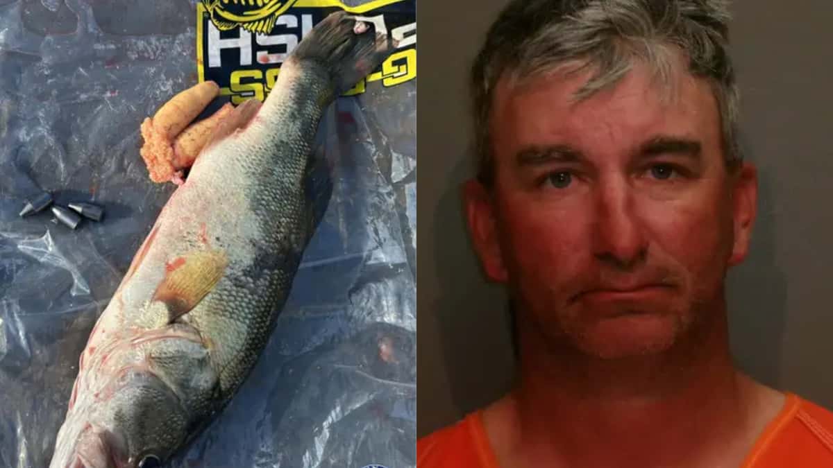 Beccato con i pesci imbottiti: Texas, fino a 10 anni per il pescatore cheater