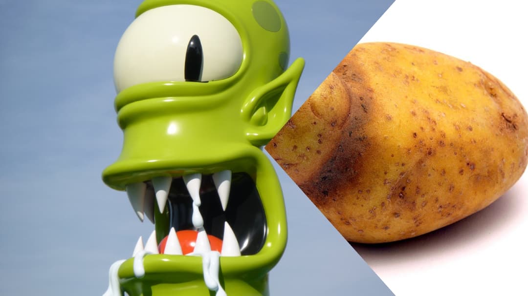 Un astronaute de la NASA prend une pomme de terre pour un extraterrestre à tentacules