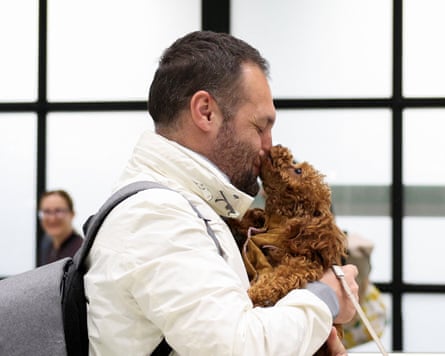 هروب البشر وترك الحيوانات: أزمة الحيوانات الأليفة في دبي